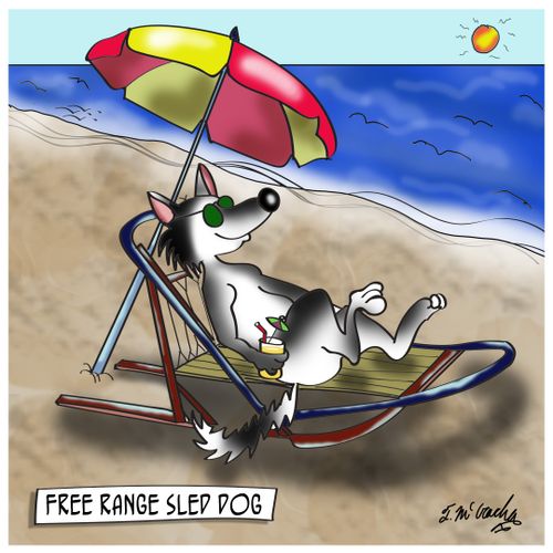 Free Range Sled Dog