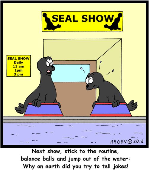 "Next show, stick to the routine, balance balls and jump out of the water: Why on earth did you try to tell jokes!"