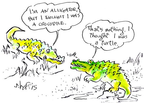 "I'm an alligator, but I thought I was a crocodile."