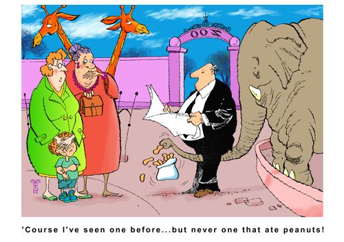 "'Course I've seen one before...but never one that ate peanuts!"
