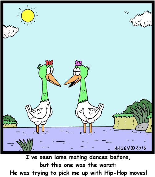 "I've seen lame mating dances before, but this one was the worst: He was trying to pick me up with Hip-Hop moves!"