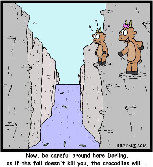 "Now, be careful around here Darling, as if the fall doesn't kill you, the crocodiles will..."