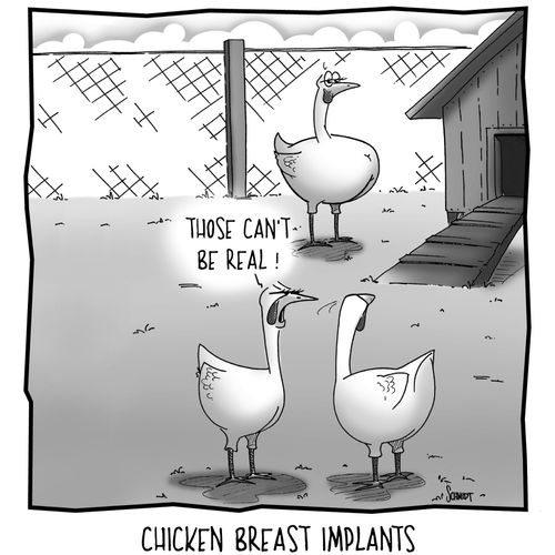Chicken Breast Implants