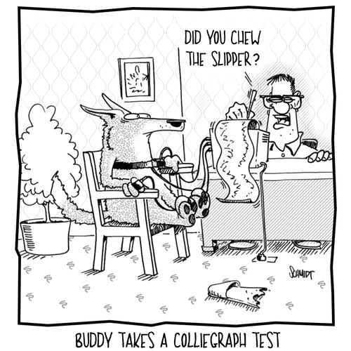 Buddy take a Colliegraph test.