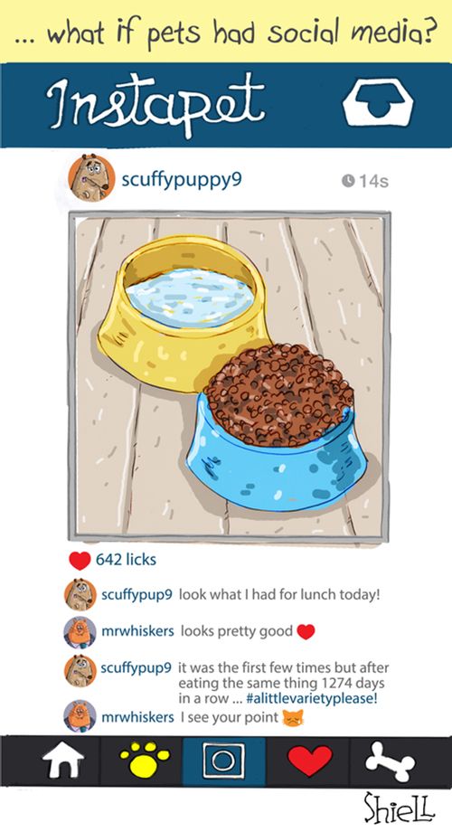 ....What if pets had social media?