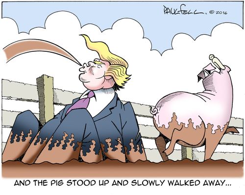 And the pig stood up and slowly walked away...