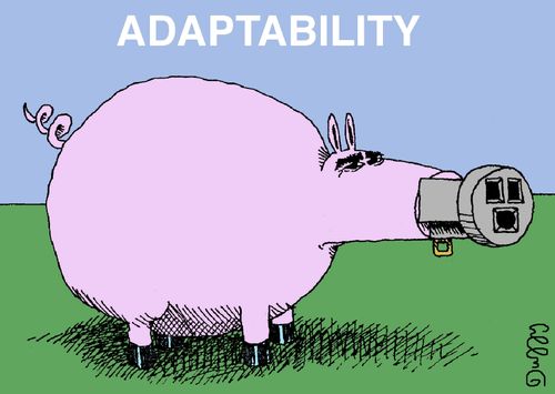 Adaptability