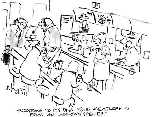 "According to its DNA, your meatloaf is from an unknown species."