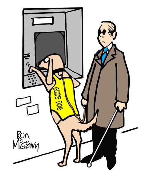 Guide Dog