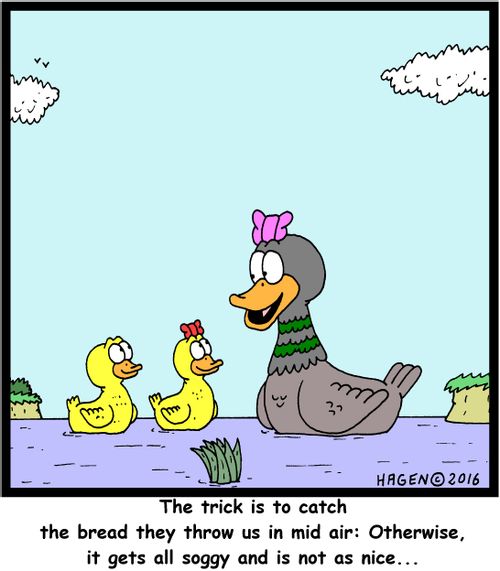 "The trick is to catch the bread they throw us in mid air: Otherwise, it gets all soggy and is not as nice..."