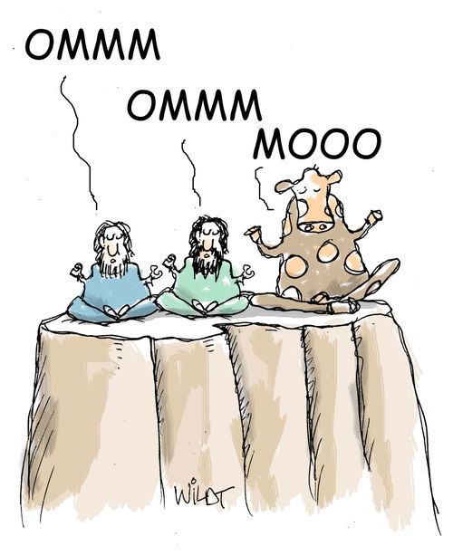 Cow meditating says 'Moo.'