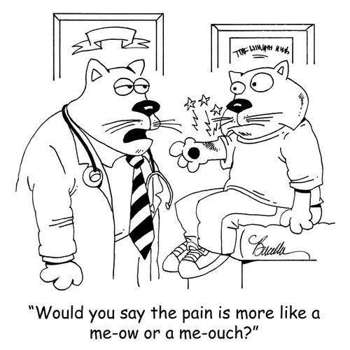 "Would you say the pain is more like a me-ow or a me-ouch?"