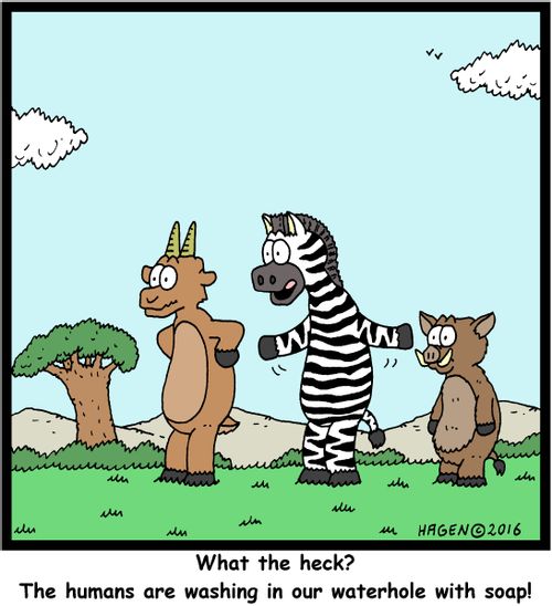 "What the heck? The humans are washing in our waterhole with soap!"