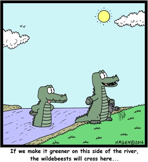 "If we make it greener on this side of the river, the wildebeests will cross here..."
