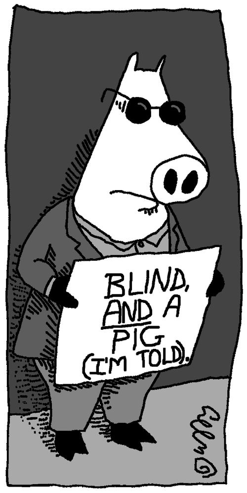Blind and a Pig (I'm Told).
