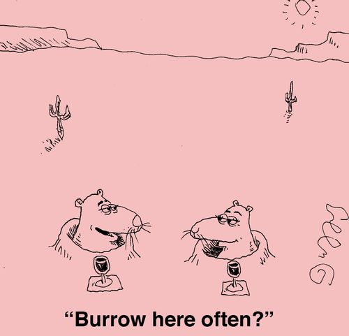 "Burrow here often?"