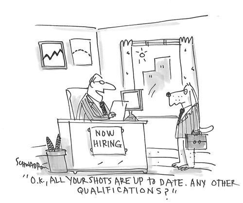 "O.K., all your shot are up to date. Any other qualifications?" 
