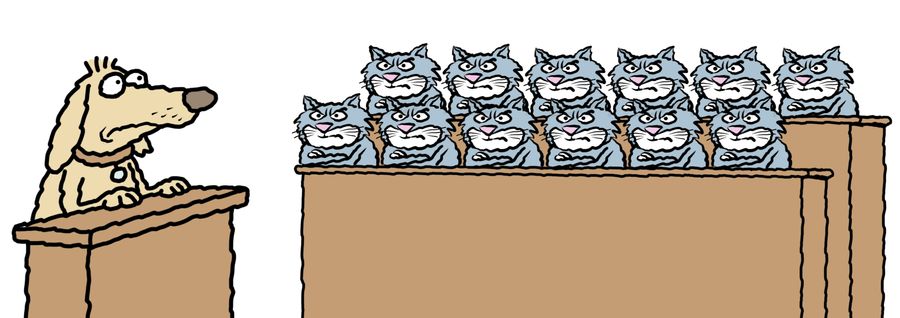 A dog on trial with an all cat jury
