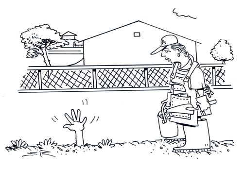 Volunteer