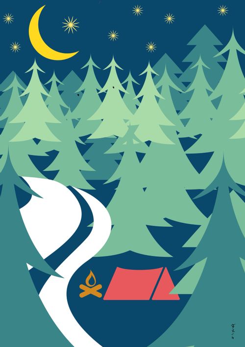 Night in the woods
