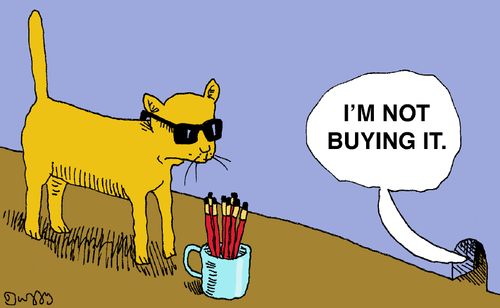 "I'm not buying it."