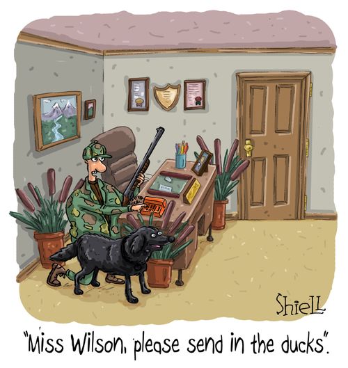 "Miss Wilson, please send in the ducks."