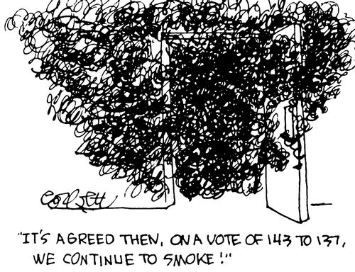 "It's agreed then, on a vote of 143 to 137, we continue to smoke."