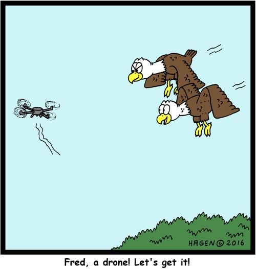 "Fred, a drone! Let's get it!"