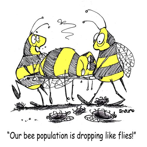 "Our bee population is dropping like flies!"