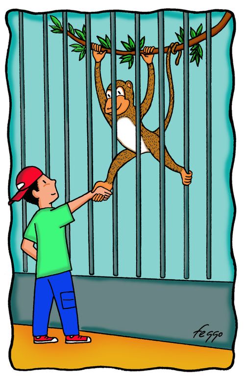 Monkey Handshake