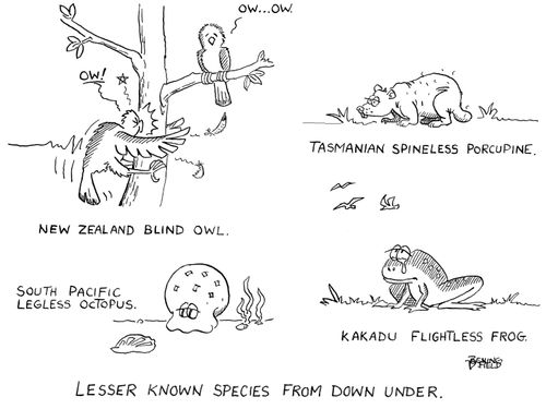 Lesser known species from Down Under.
