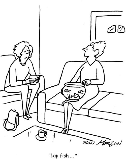 "Lap fish..."