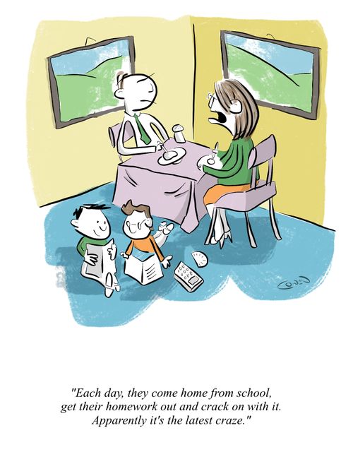"Each day, they come home from school, get their homework out and crack on with it. Apparently, it's the latest craze."