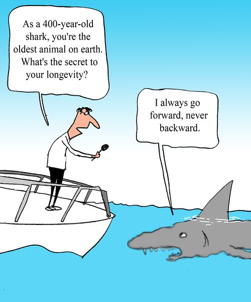 "As a 400-year-old shark, you're the oldest animal on earth.  What's the secret of your longevity?" 