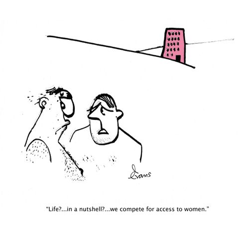 "Life?...in a nutshell?...we compete for access to women."