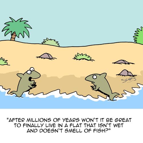 "After millions of years won't it be great to finally live in a flat that isn't wet and doesn't smell of fish?"