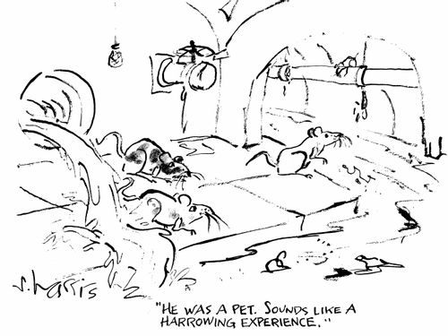 "He was a pet. Sounds like a harrowing experience."