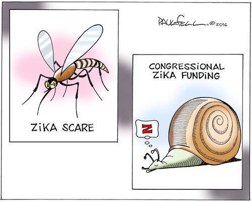 Zika Funding