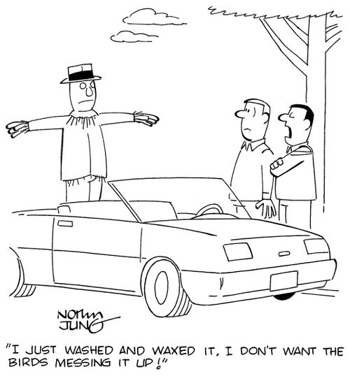 "I just washed and waxed it. I don't want the birds messing it up!"