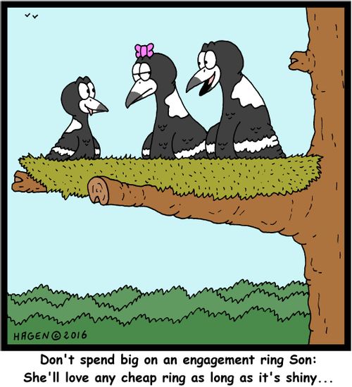 "Don't spend big on an engagement ring Son: She'll love any cheap ring as long as it's shiny..."