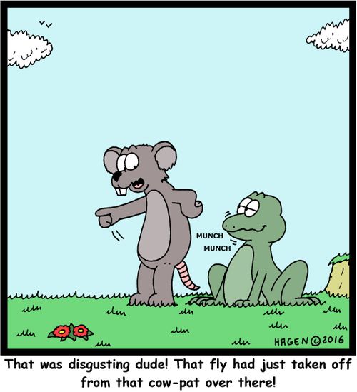 "That was disgusting dude! That fly had just taken off from that cow-pat over there!"