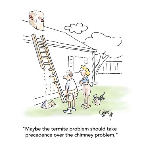 "Maybe the termite problem should take precedence over the chimney problem."