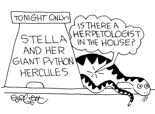 "Is there a herpetologist in the house?"