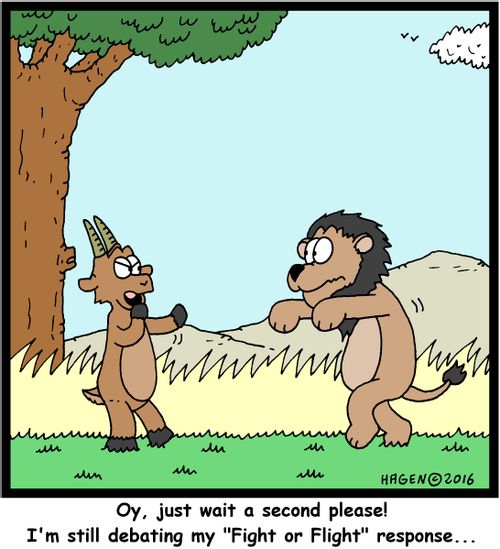 "Oy, just wait a second please! I'm still debating my "Fight or Flight" response..."