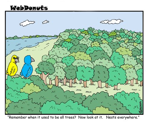 "Remember when it used to be all trees? Now look at it. Nests everywhere."