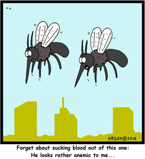 "Forget about sucking blood out of this one: He looks rather anemic to me..."
