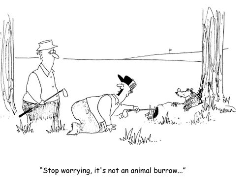 "Stop worrying, it's not an animal burrow..."