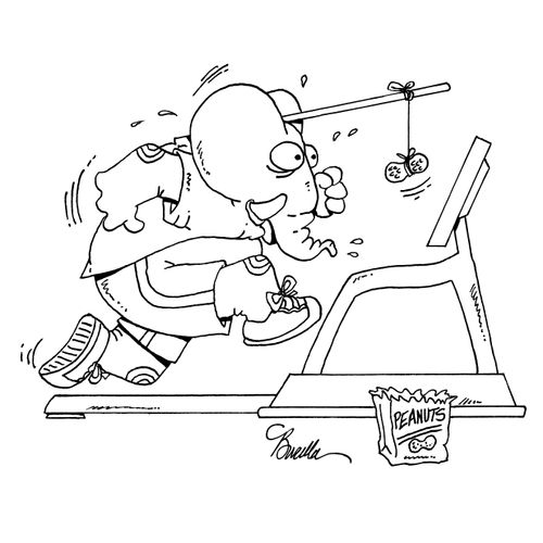 Elephant chases peanut on stick while running on treadmill.
