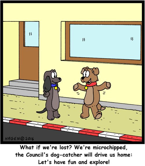 "What if we're lost? We're microchipped, the Council's dog-catcher will drive us home: Let's have fun and explore!"