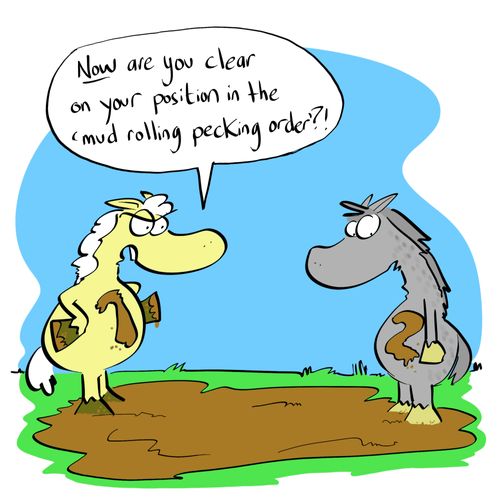 "Now are you clear on your position in the mud rolling pecking order?"
